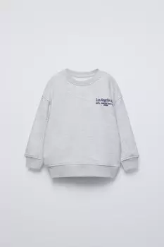 Толстовка с вышитым лозунгом ZARA, серый мергель