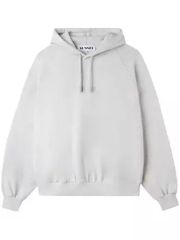 Толстовка с вышивкой Eiws Sunnei, серый