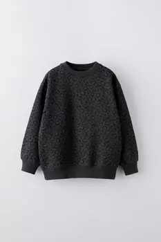 Толстовка с животным принтом ZARA, антрацитово-серый