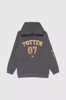 Толстовка с золотой фольгой Potter 07 Harry Potter, серый