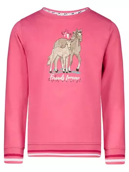 Толстовка Salt and Pepper, розовый