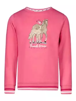Толстовка Salt and Pepper Sweatshirt Star Stable, цвет tea rose