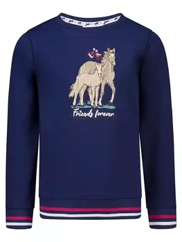 Толстовка Salt and Pepper, темно-синий