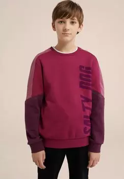 Толстовка SALTY DOG WE Fashion, цвет red