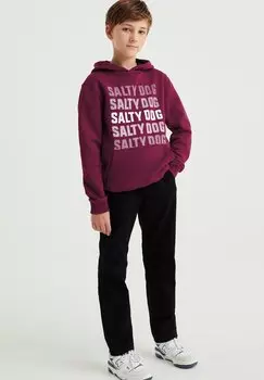 Толстовка SALTY DOG WE Fashion, цвет violet