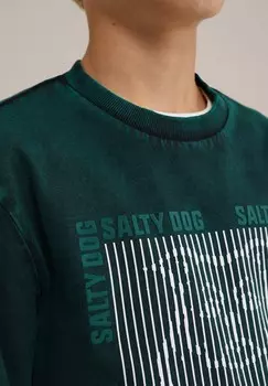 Толстовка SALTY DOG WE Fashion, зеленый