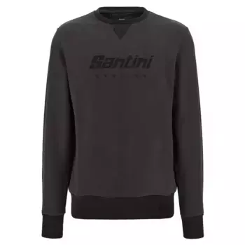 Толстовка Santini Logo, серый