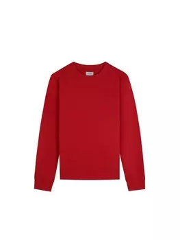 Толстовка Scalpers New Fade, красный