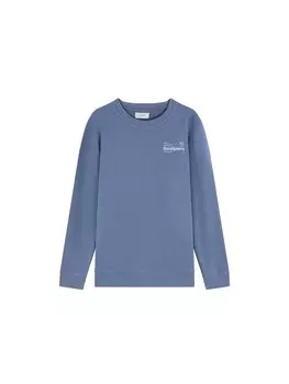 Толстовка Scalpers, синий