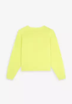 Толстовка Scalpers, светло-зеленый