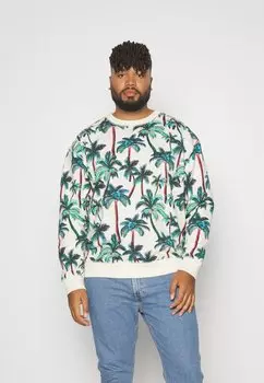 Толстовка Scotch & Soda