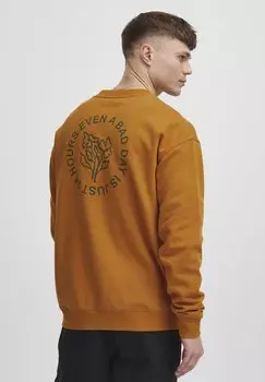 Толстовка Sdgaius Solid, цвет sudan brown