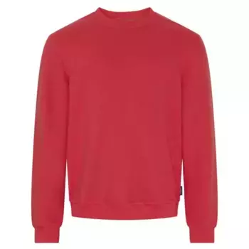 Толстовка Sea Ranch Winston, красный