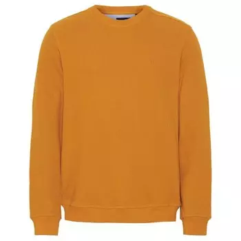 Толстовка Sea Ranch Winston, желтый