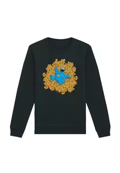 Толстовка SESAMSTRASSE COOKIE MONSTER BAD F4NT4STIC, черный