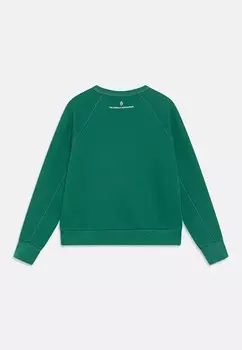 Толстовка SHARK UNISEX THE ANIMALS OBSERVATORY, зеленый