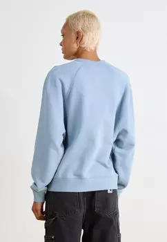 Толстовка SIGNATURE Carhartt WIP, светло-голубой