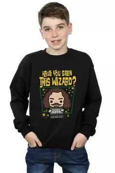Толстовка Sirius Black Azkaban Harry Potter, черный