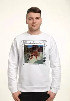 Толстовка SKATEBOARD! MAGAZINE PHOTO Henry Tiger, белый