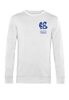 Толстовка SKATEBOARD! MAGAZINE STRESS FREE Henry Tiger, белый