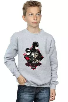 Толстовка Skyline с персонажем сериала «Бэтмен» DC Comics, серый