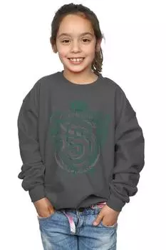 Толстовка Слизерина со змеиным гербом Harry Potter, серый