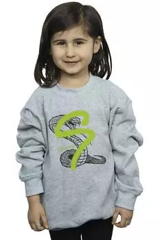 Толстовка Slytherin Pop Spray Harry Potter, серый