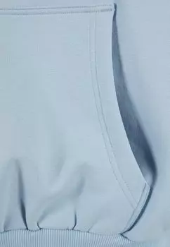 Толстовка Small Signature Os Karl Kani, светло-голубой