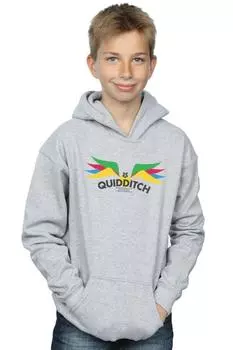 Толстовка Snitch Wings Pastels Harry Potter, серый