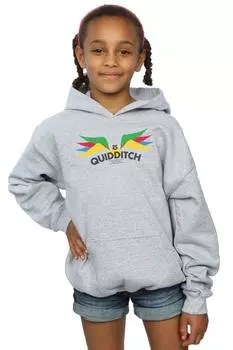 Толстовка Snitch Wings Pastels Harry Potter, серый