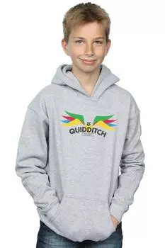 Толстовка Snitch Wings Pastels Harry Potter, серый