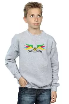 Толстовка Snitch Wings Pastels Harry Potter, серый