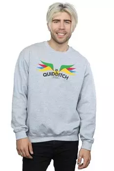 Толстовка Snitch Wings Pastels Harry Potter, серый