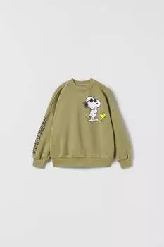 Толстовка snoopy peanuts ZARA, хаки