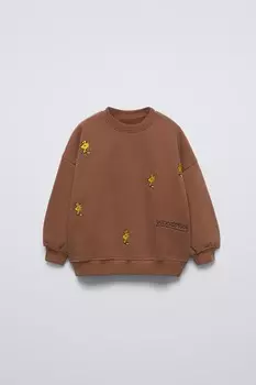 Толстовка snoopy peanuts ZARA, коричневый