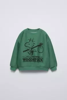 Толстовка snoopy peanuts ZARA, темно-зеленый