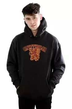 Толстовка со спортивной эмблемой Гриффиндора Harry Potter, черный