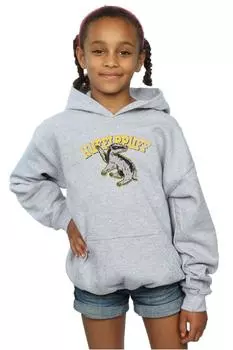 Толстовка со спортивной эмблемой Хаффлпаффа Harry Potter, серый