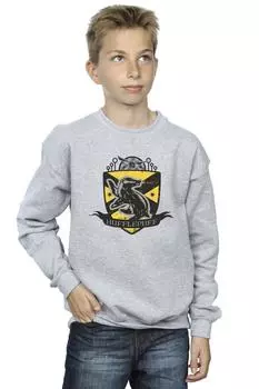 Толстовка со значком на груди Хаффлпаффа Harry Potter, серый