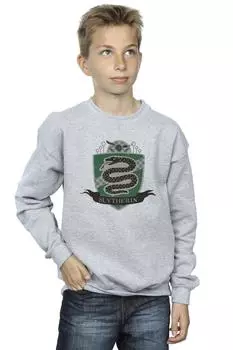 Толстовка со значком Слизерина на груди Harry Potter, серый