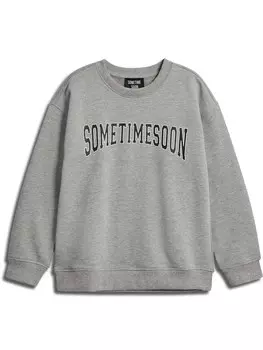 Толстовка Sometime Soon WINTERS, серый
