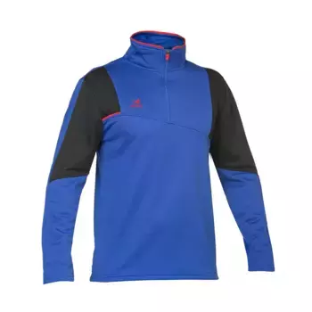 Толстовка спортивная Asioka Pars half zip, синий