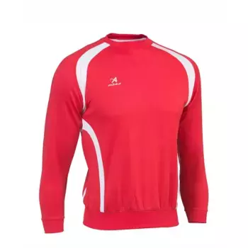 Толстовка спортивная Asioka Roma, красный