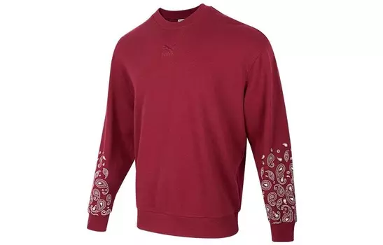 Толстовка Sports Life Collection унисекс красная Puma, красный
