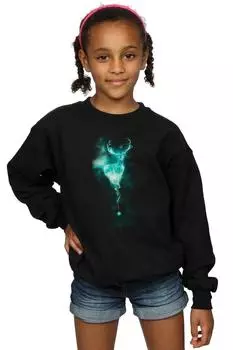 Толстовка Stag Patronus Mist Harry Potter, черный