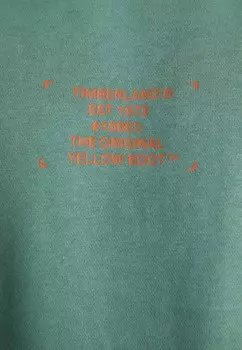 Толстовка STAMP WORK INSPIRE GRAPHIC Timberland, темно-зеленый