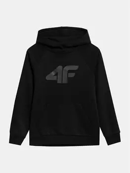Толстовка стандартного кроя 4F, черный