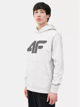 Толстовка стандартного кроя 4F, серый