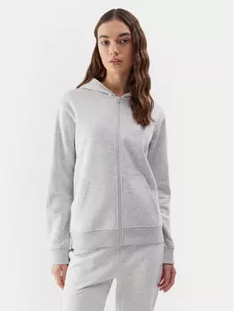 Толстовка стандартного кроя 4F, серый