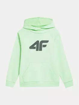 Толстовка стандартного кроя 4F, зеленый